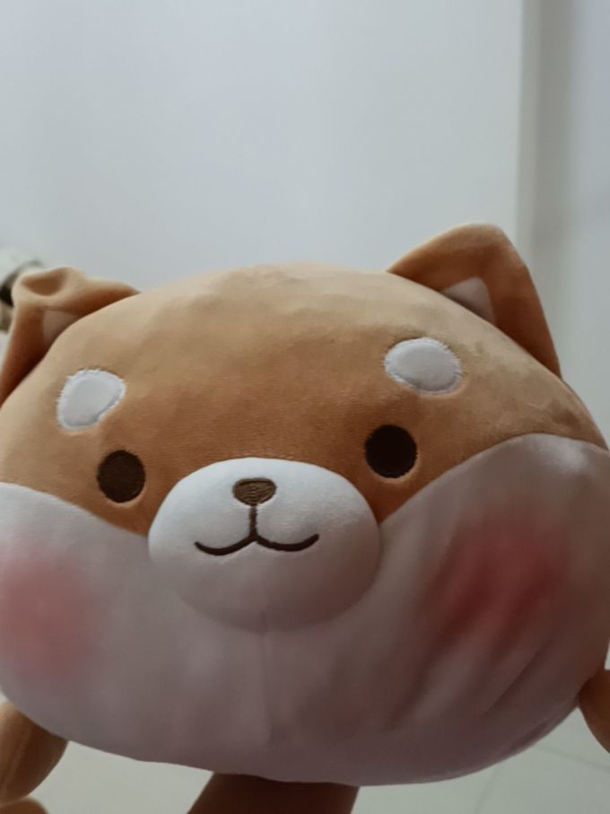 miniso名创优品柴犬毛绒玩具公仔床上抱枕