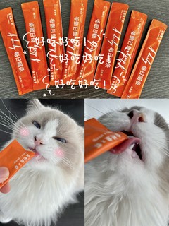 猫咪零食推荐丨让主子欲罢不能的快乐猫条