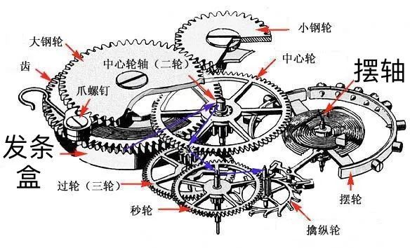 手表的结构图片