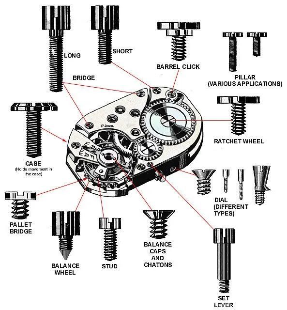 全面细致的腕表机芯结构图