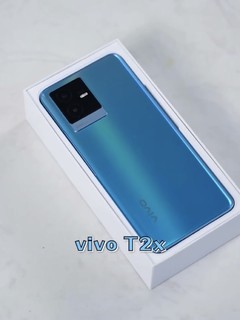 vivo T2x 的拍照实力不容小觑