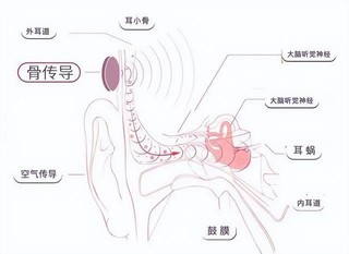 运动起来吧，不要贴秋膘！