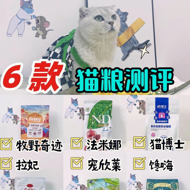 粮大测评新手养猫看过来