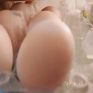 每天一个鸡蛋🥚身体长高高