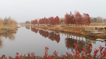 游记 篇一：徒步水八仙生态文化园，空气清新，是一个放松身心的好地方。