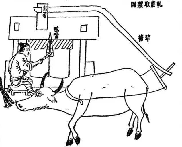 明宋应星《天工开物》载轧蔗取浆图 ©网络