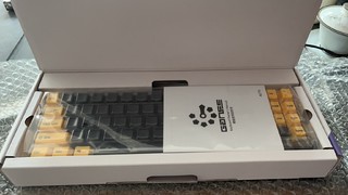 199上车的高斯红轴双模机械键盘
