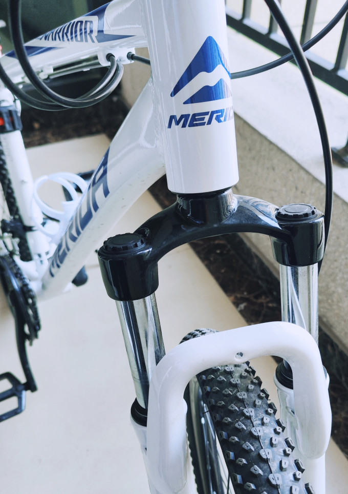 给孩子上学的礼物--美利达勇士300ds