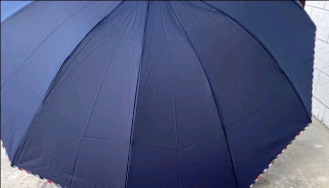 任天堂雨伞