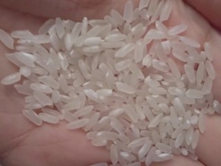五常大米真的很香