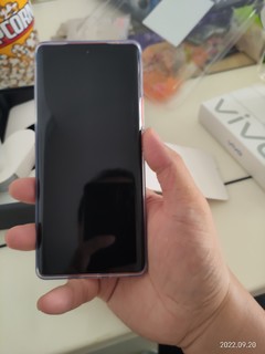 纠结三天京东下单vivo x80，12+256