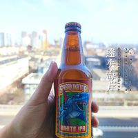 [饮料测评]迷失海岸机械大鲨鱼IPA啤酒