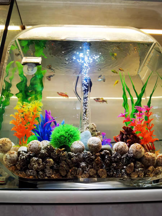 买了这个鱼缸家里瞬间变得有格调了