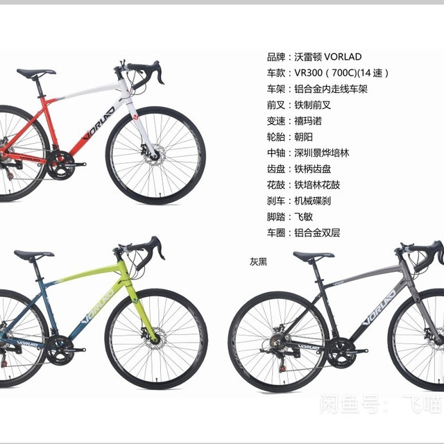 冲了沃雷顿VR300公路自行车