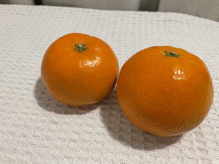 这橘子是来报恩的吗？好甜！