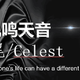 【夜听】凤鸣天音——九尾/Celest主客观体验报告