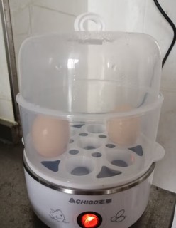 价格便宜而且实用的煮蛋器