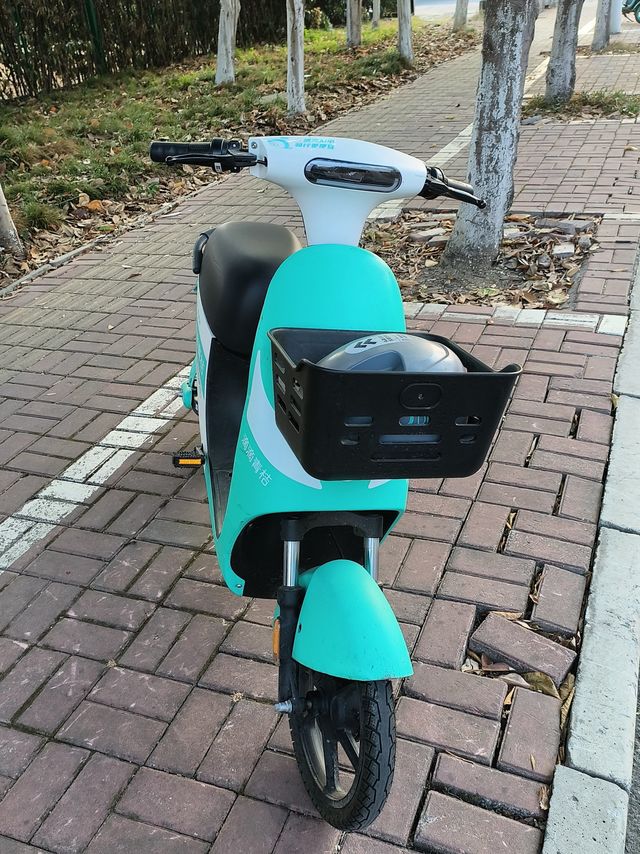 方便的出行工具-青桔电动车