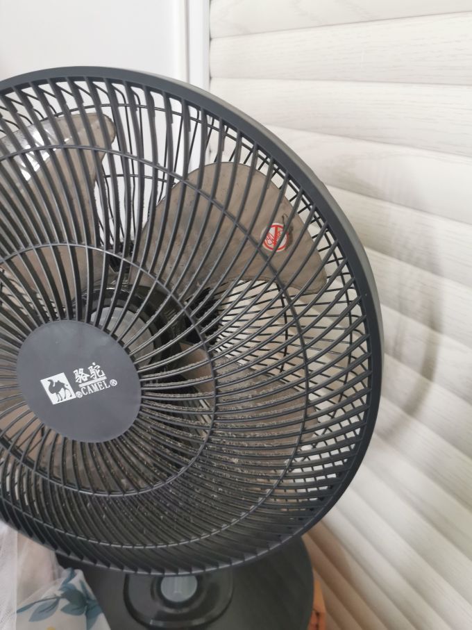 骆驼电风扇