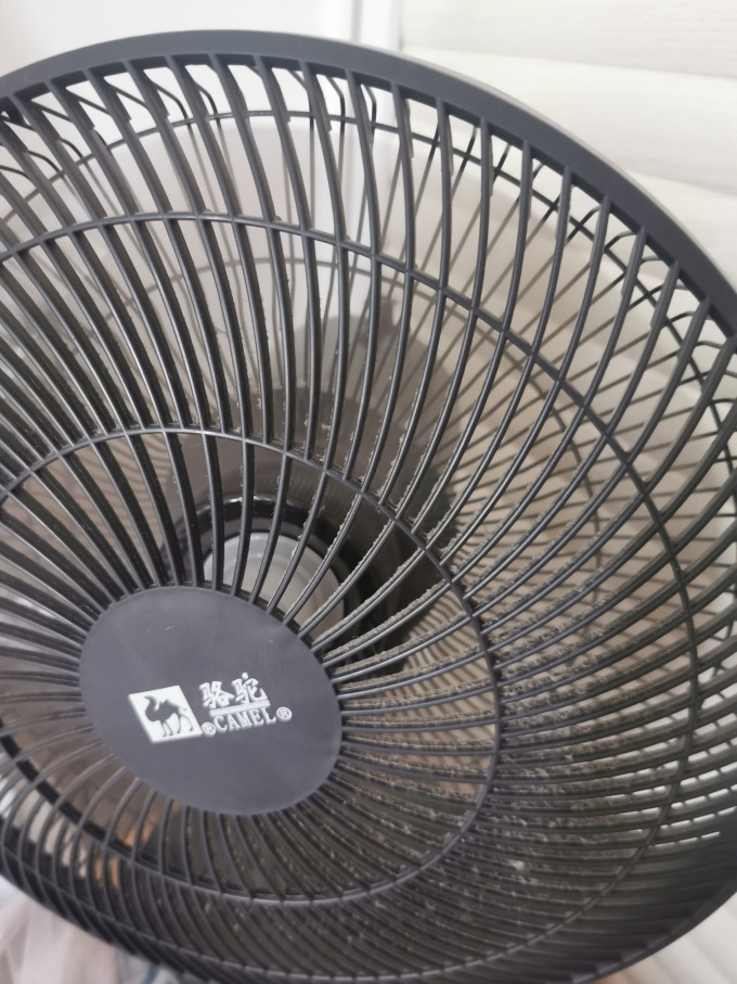 骆驼电风扇