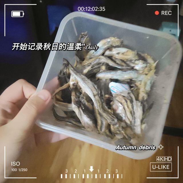 小鱼干对猫咪的诱惑有多大！