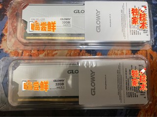 笑死，根本没需求又强制升级96G内存。