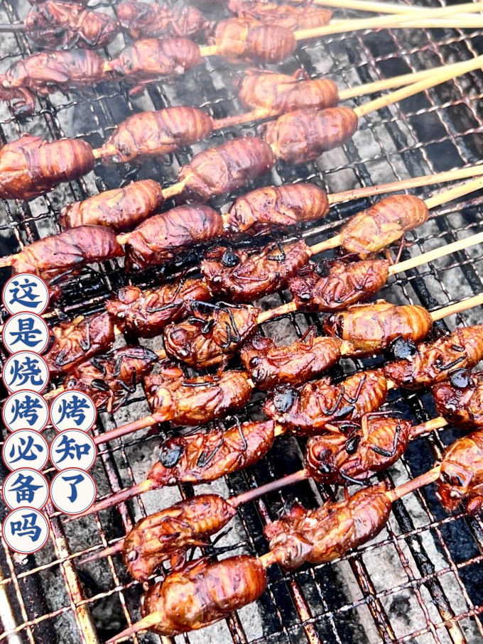 汇尔康其他肉类怎么样 嘎嘣脆烤知了,荣获今天烧烤全场最佳mvp!