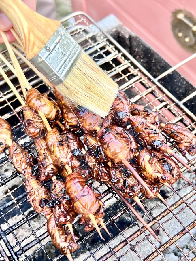 汇尔康其他肉类怎么样 嘎嘣脆烤知了,荣获今天烧烤全场最佳mvp!