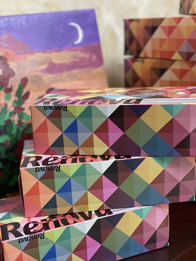 Renova葡萄牙进口彩色抽纸