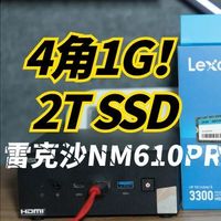 4毛1G的大容量2T SSD，雷克沙NM610PRO-2T你买吗？
