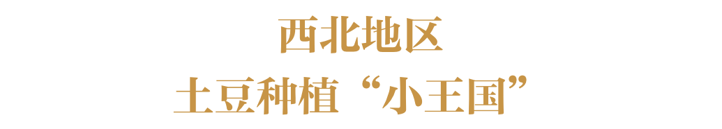 土豆在中国到底有多少种吃法？