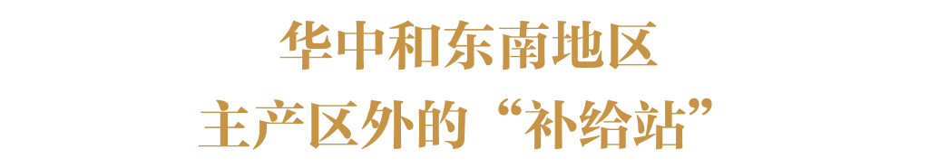 土豆在中国到底有多少种吃法？