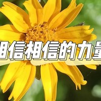 正念创造积极人生，相信相信的力量