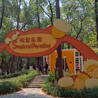 【国庆遛娃】又是一个出不了远门的假期——打卡东湖落雁景区松鼠乐园