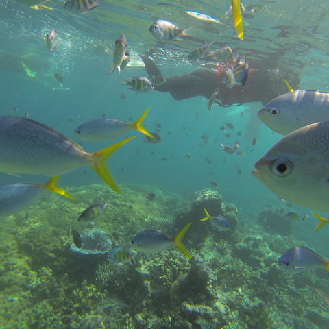 上帝的水族馆~~看过帕劳不看海~~~