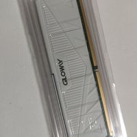 购入 光威ddr4 3200 32gb 交作业