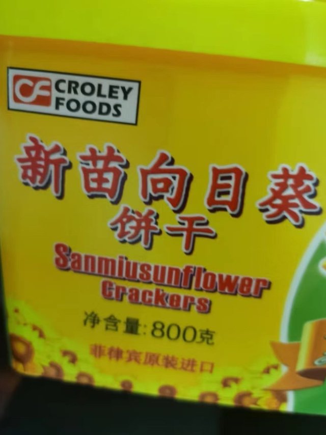 新苗向日葵，yyds