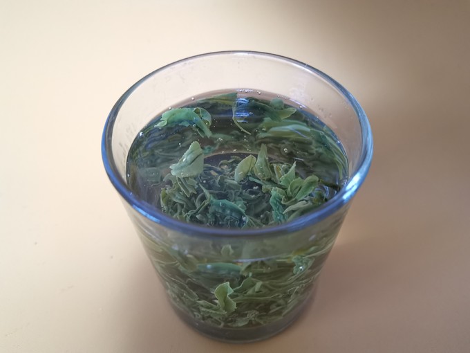 绿满堂绿茶