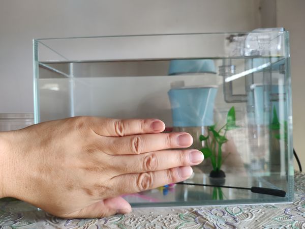 新鱼友入坑记一：先入手30cm超白，全套100能拿下么？