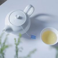乌龙茶富含茶多酚，早茶振奋精神，饭后解油解腻。