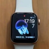 Apple Watch SE 智能手表 GPS款 40毫米