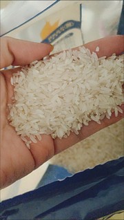 太粮御泰坊茉莉香米5kg香稻籼米10
