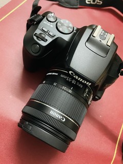 新入手的佳能EOS250D