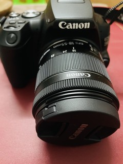 新入手的佳能EOS250D