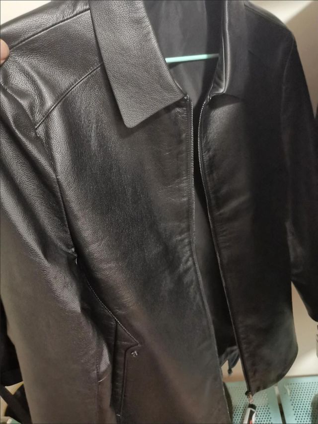 兽王单皮皮衣男士2022秋天新款翻领海宁真皮