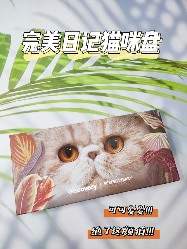 让我看看这么可爱的猫咪眼影盘谁还没有？！