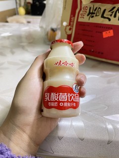 活的乳酸菌