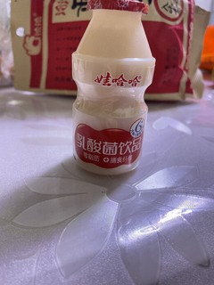 活的乳酸菌