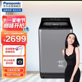 松下(Panasonic)波轮洗衣机全自动10公斤 一