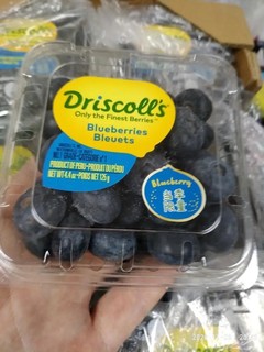 每天蓝莓，健康加分。